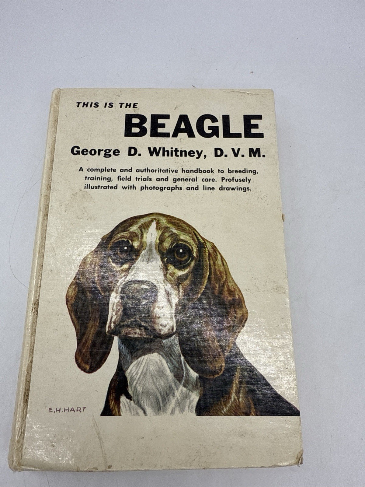 This Is The Beagle By George D. Whitney DVM 1955 Hardback 252 Pages