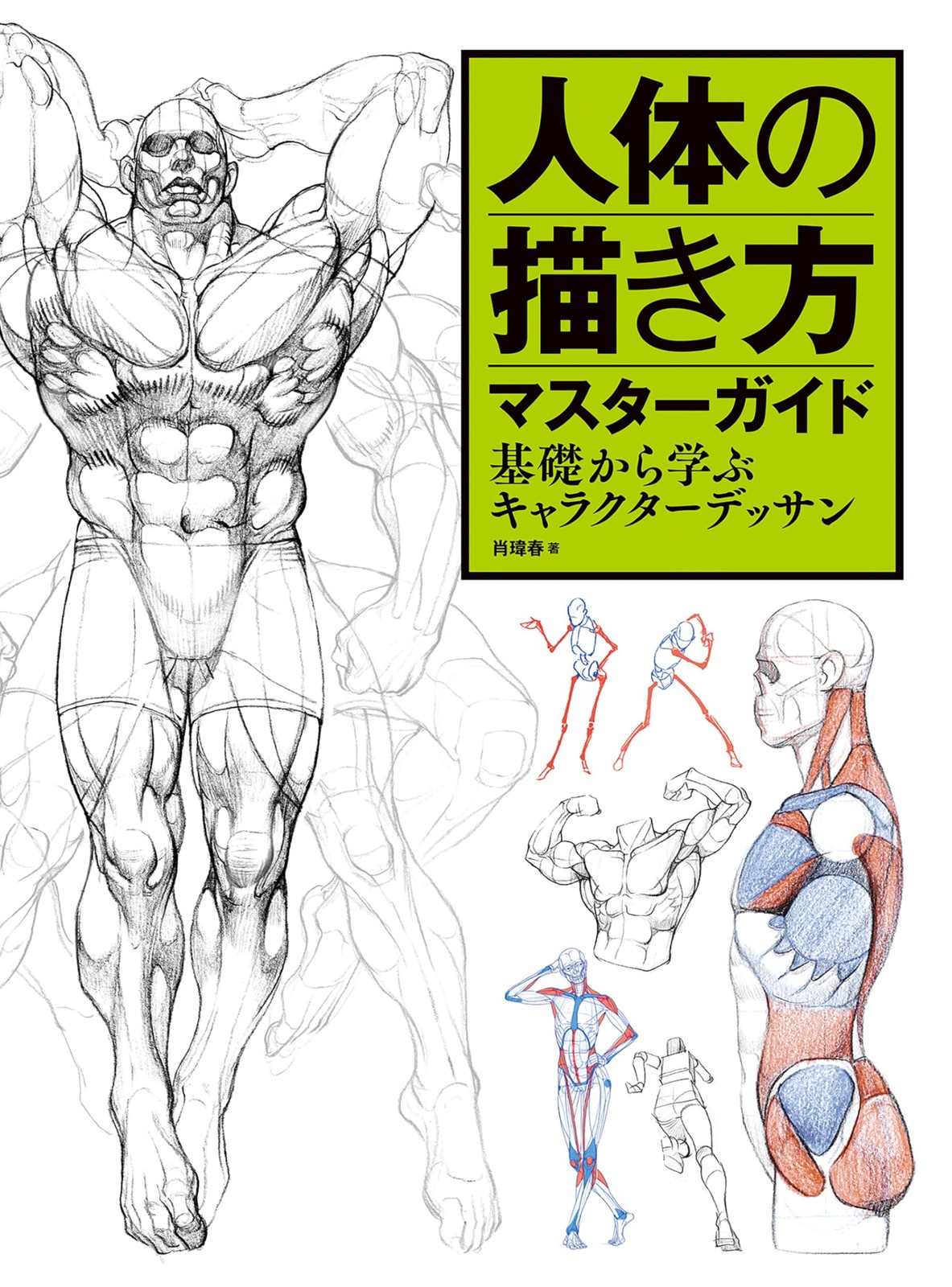人体の描き方マスターガイド　基礎から学ぶキャラクターデッサン (Paperback) (UK IMPORT)