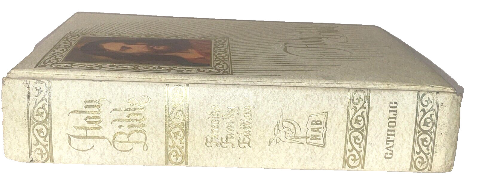 Fireside Family Edition Catholic Holy Bible King James Red Letter Edition 12 In.