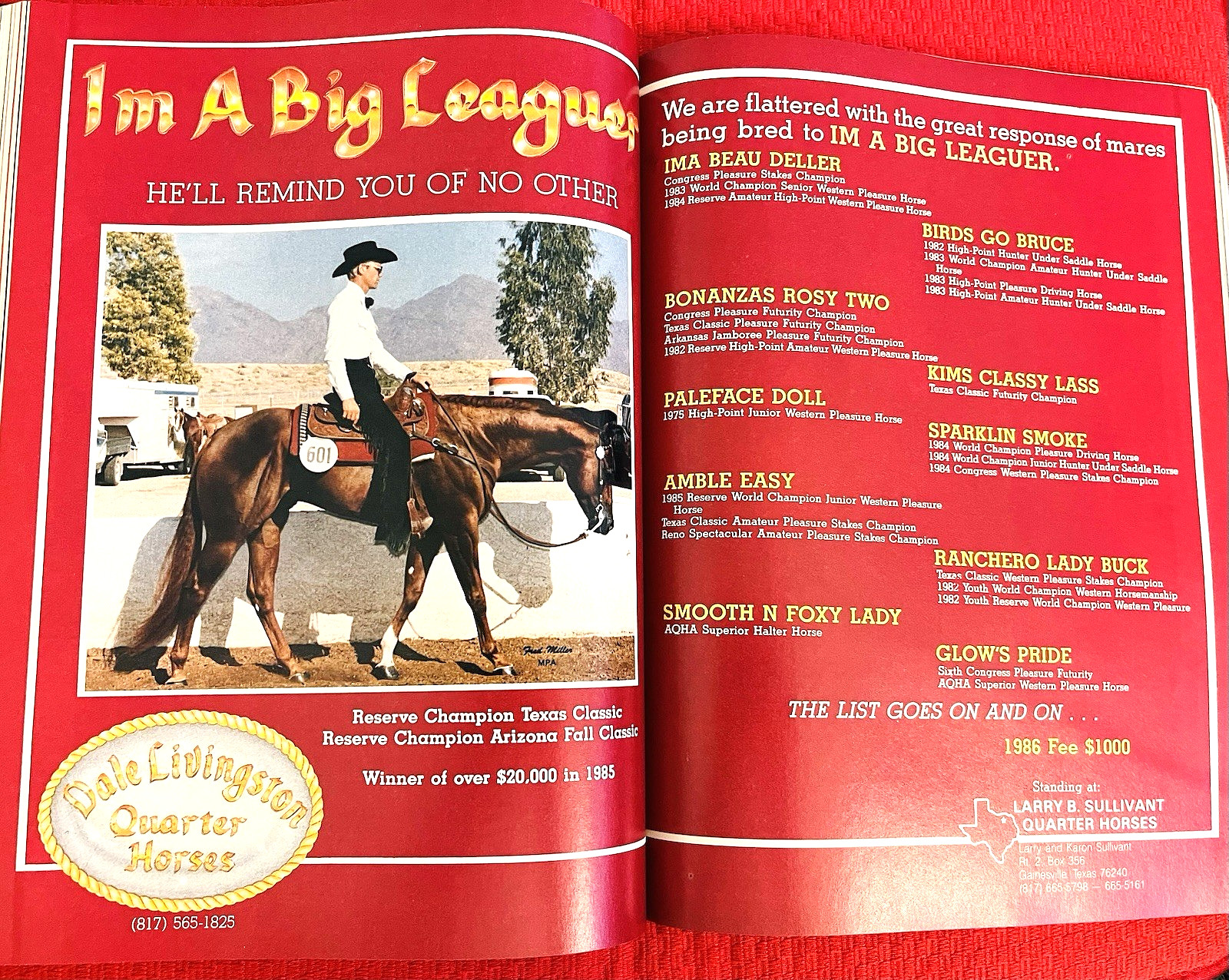SALE ENDS 6/15! 1986 QUARTER HORSE JOURNAL Book – DYNAMIC DELUXE, ZAN PARR BAR