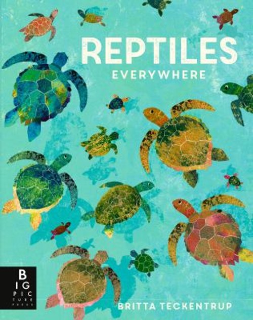 Reptiles Everywhere Picture Book Camilla de la Bedoyere