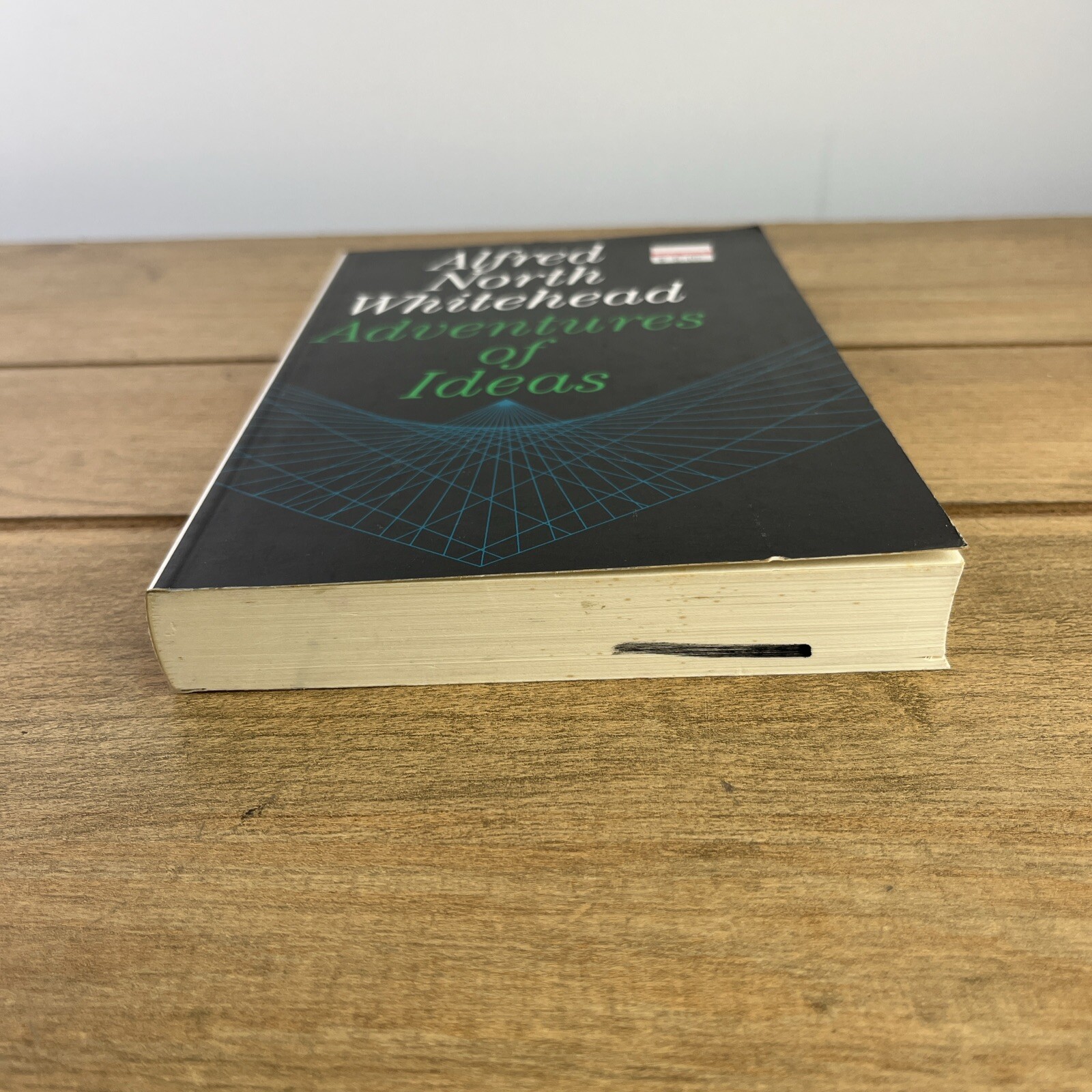 Vtg Book Alfred North Whitehead Adventures of Ideas (Paperback)1967 Free Press