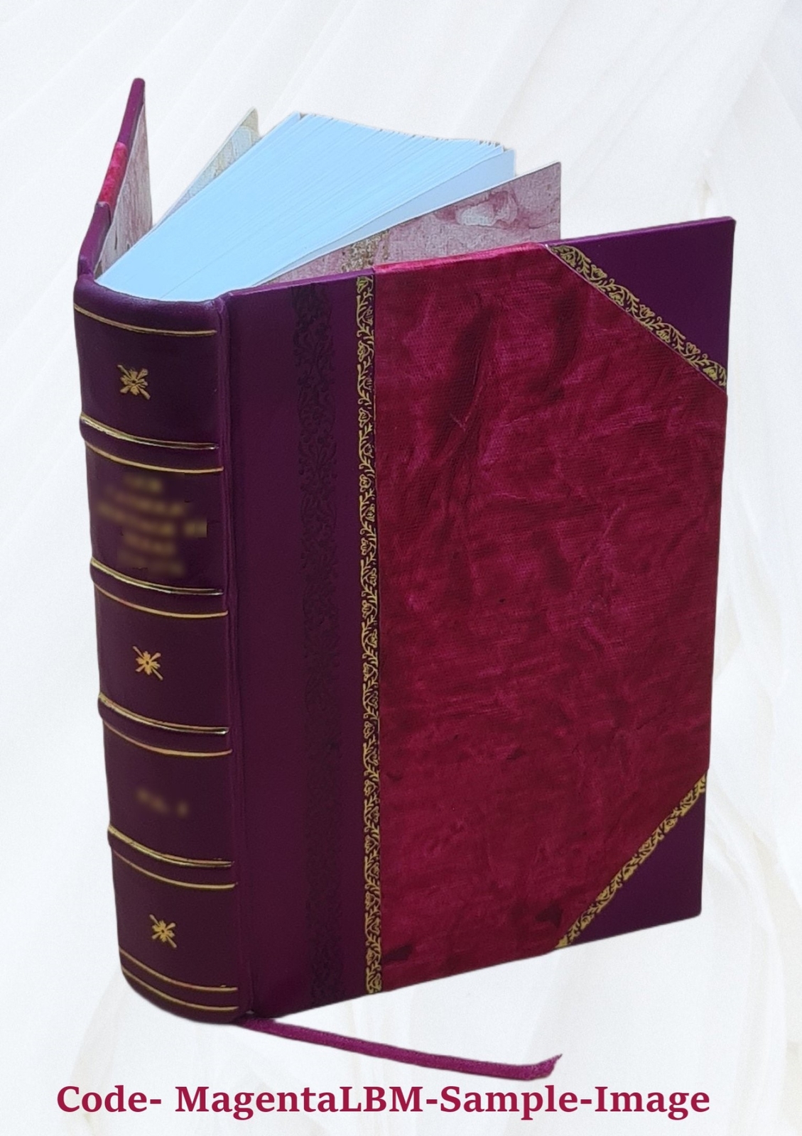 The Cave Temples Of India 1880 By James Fergusson, James Burgess [Leather Bound]