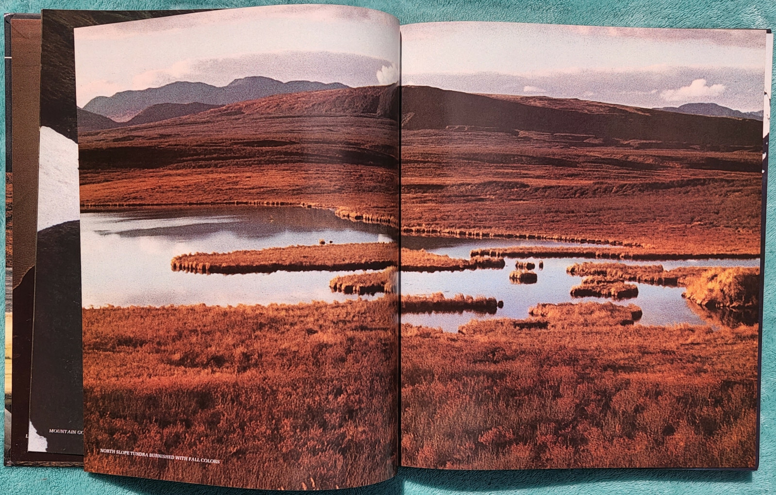Wild Alaska The American Wilderness 1982 Time-Life Hardcover 184 Pages