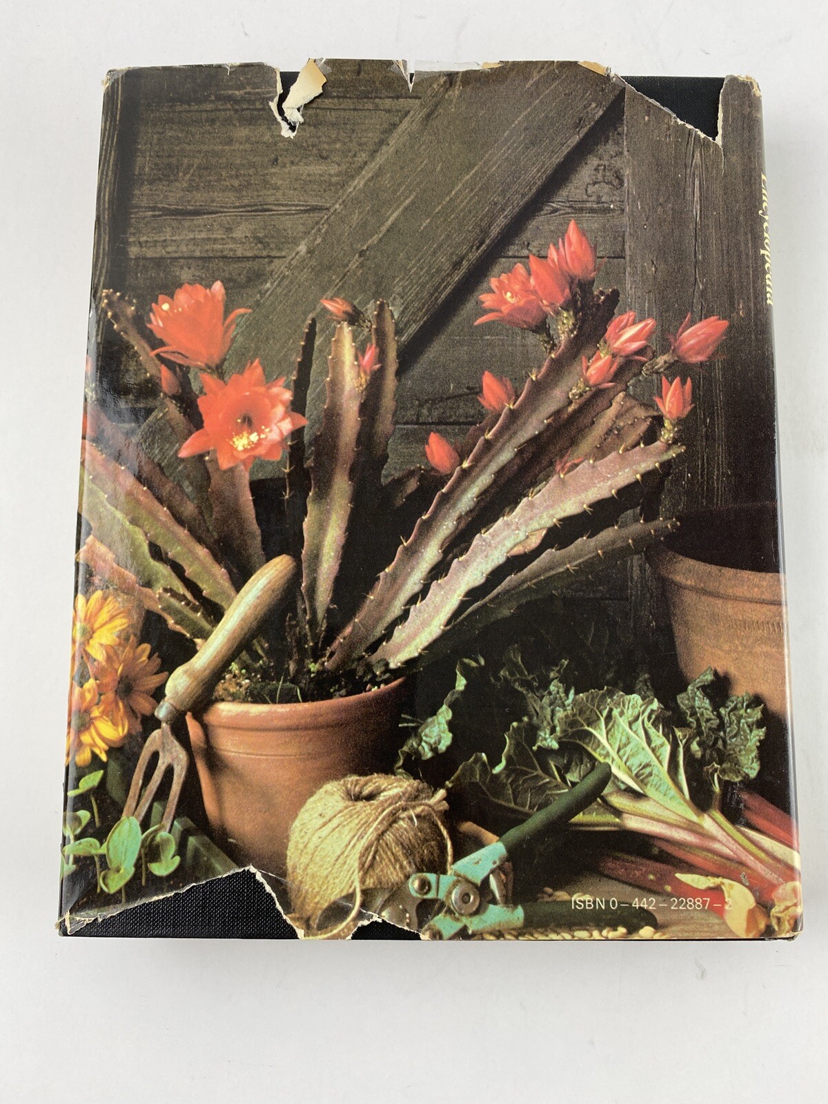 Practical Gardening Encyclopedia by Roy Hay – 1977 Hardcover