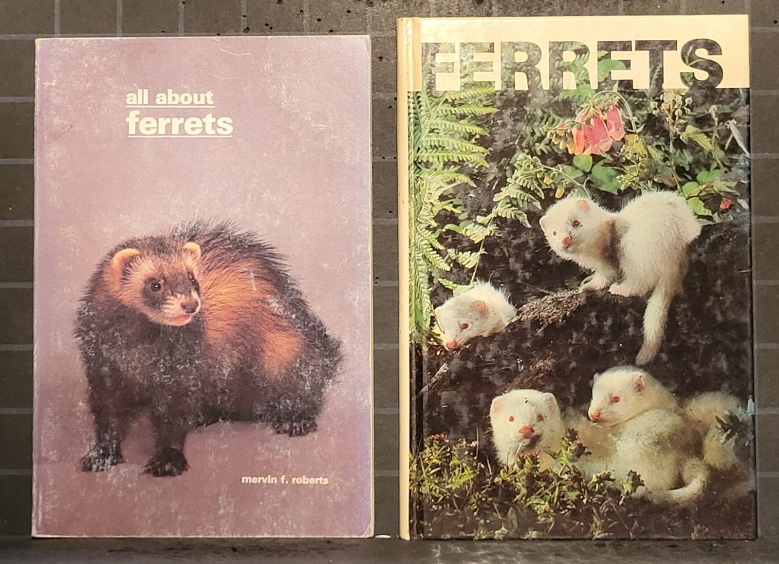 2 Books All About Ferrets Hardcover and Paperback 920