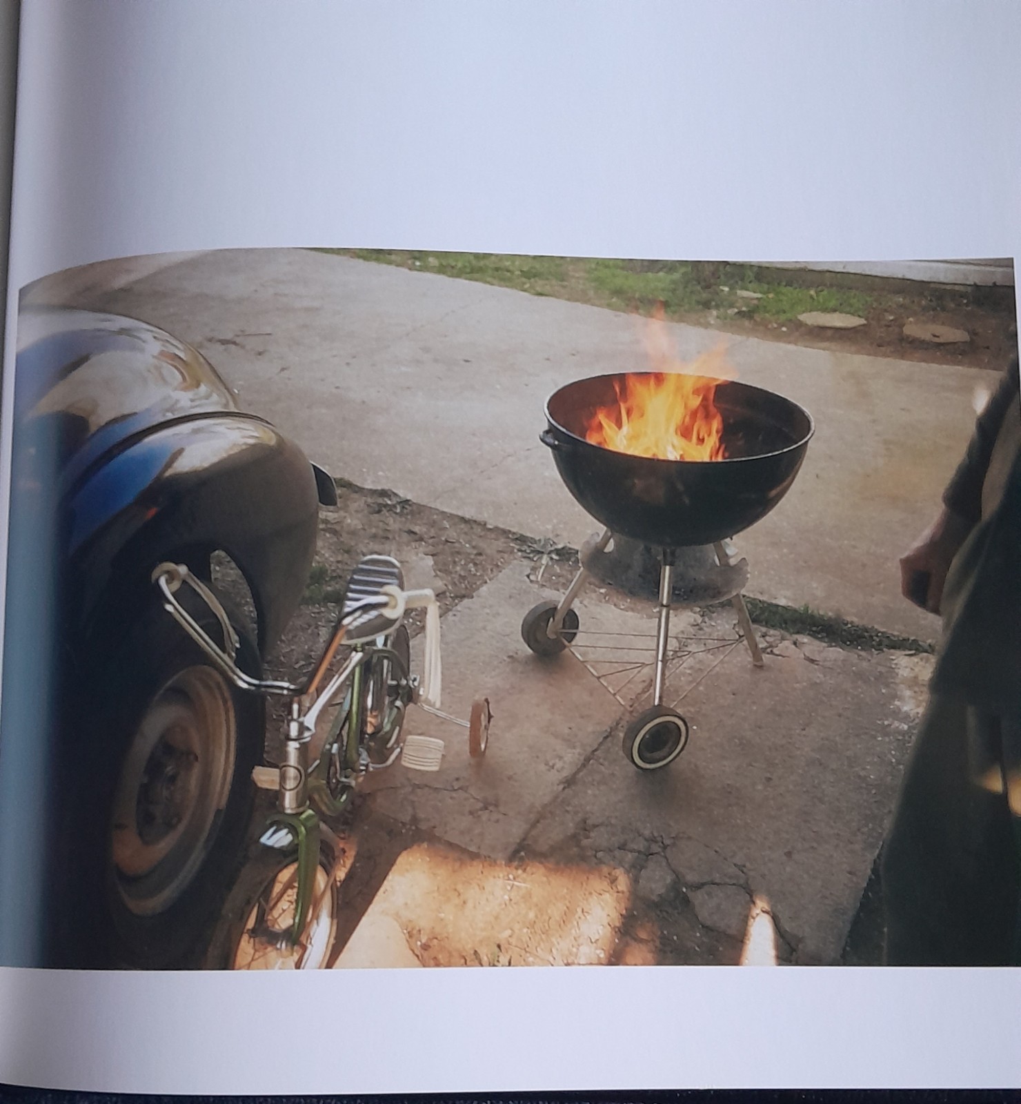 WILLIAM EGGLESTON’s GUIDE 2ND EDITION MOMA 2002