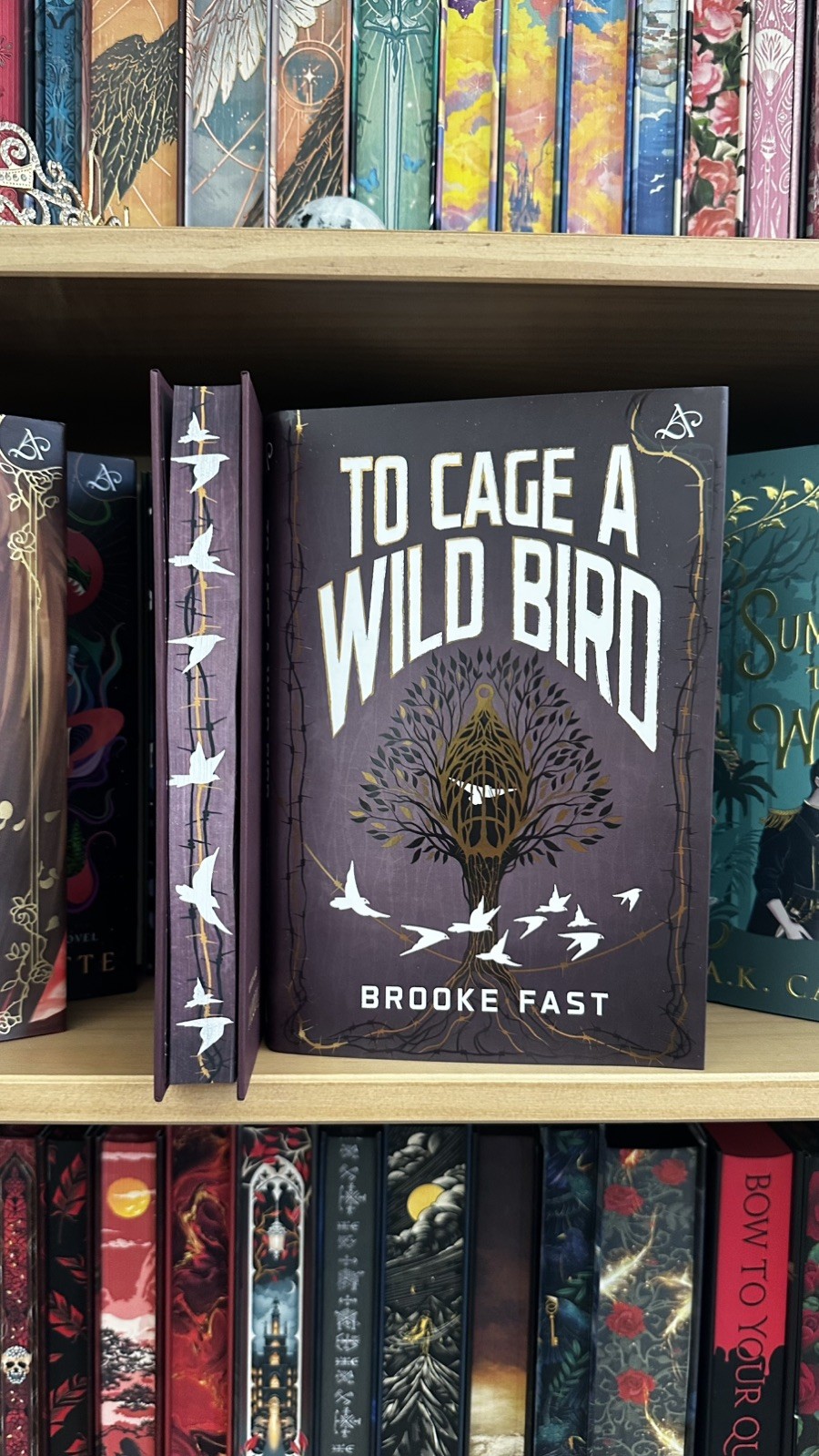 Allurial To Cage a Wild Bird Brooke Fast Special Edition Sprayed Edges Hardcover