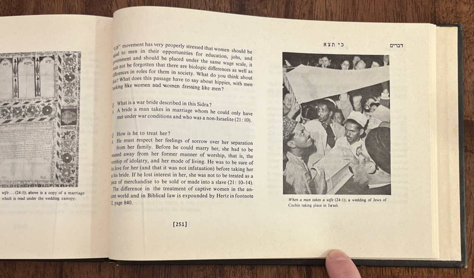 Torah For The Family by Philip Lipis & Louis Katzoff, World Jewish Bible, 1977