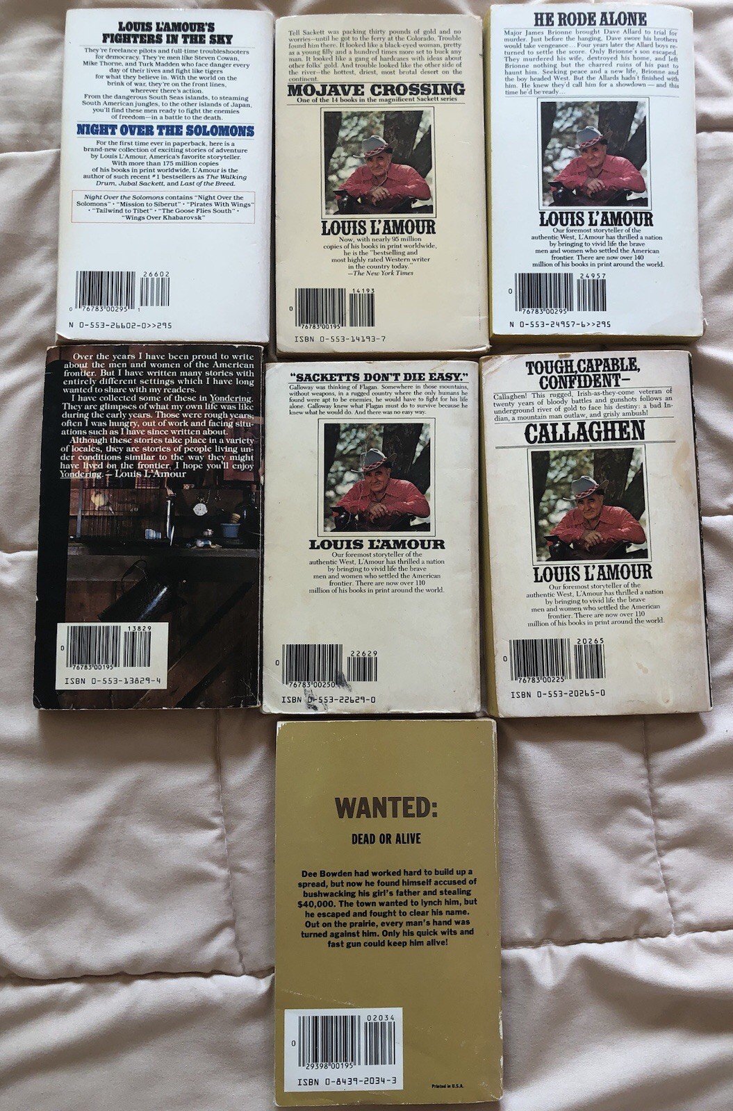 Lot of 7 Vintage Western Vintage Paperback Books- Louis L’amour, Ride Wild Coun…