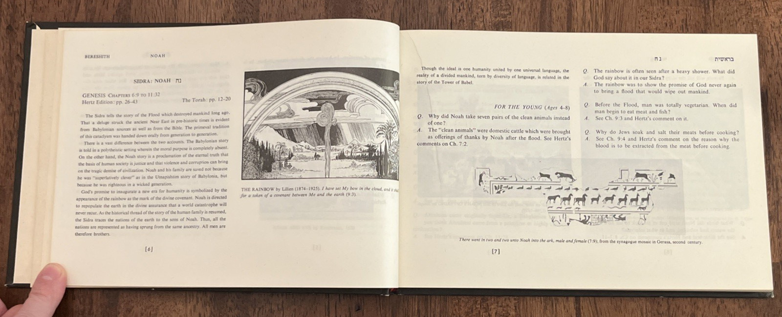 Torah For The Family by Philip Lipis & Louis Katzoff, World Jewish Bible, 1977