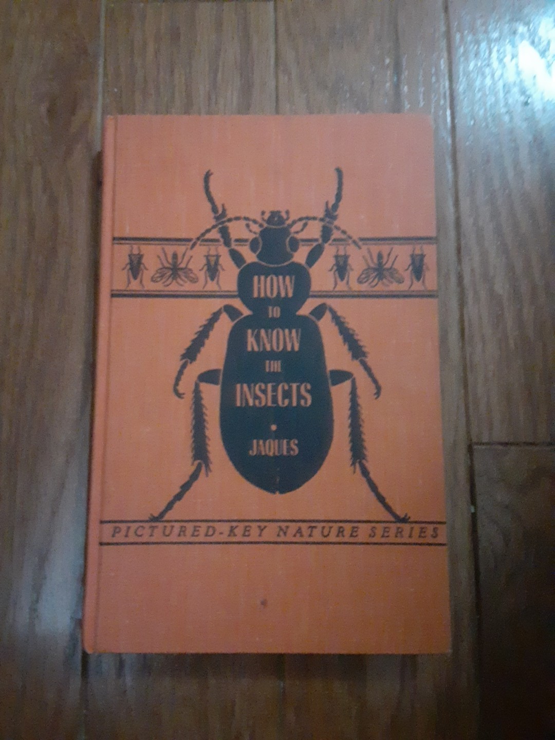 How To Know The Insects, By H.E. Jaques, Hardcover, Pictured Key Nature Series