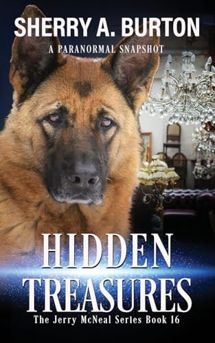 Hidden Treasures: Book 16 in The Jerry McNeal series (A Paranormal Snapshot)