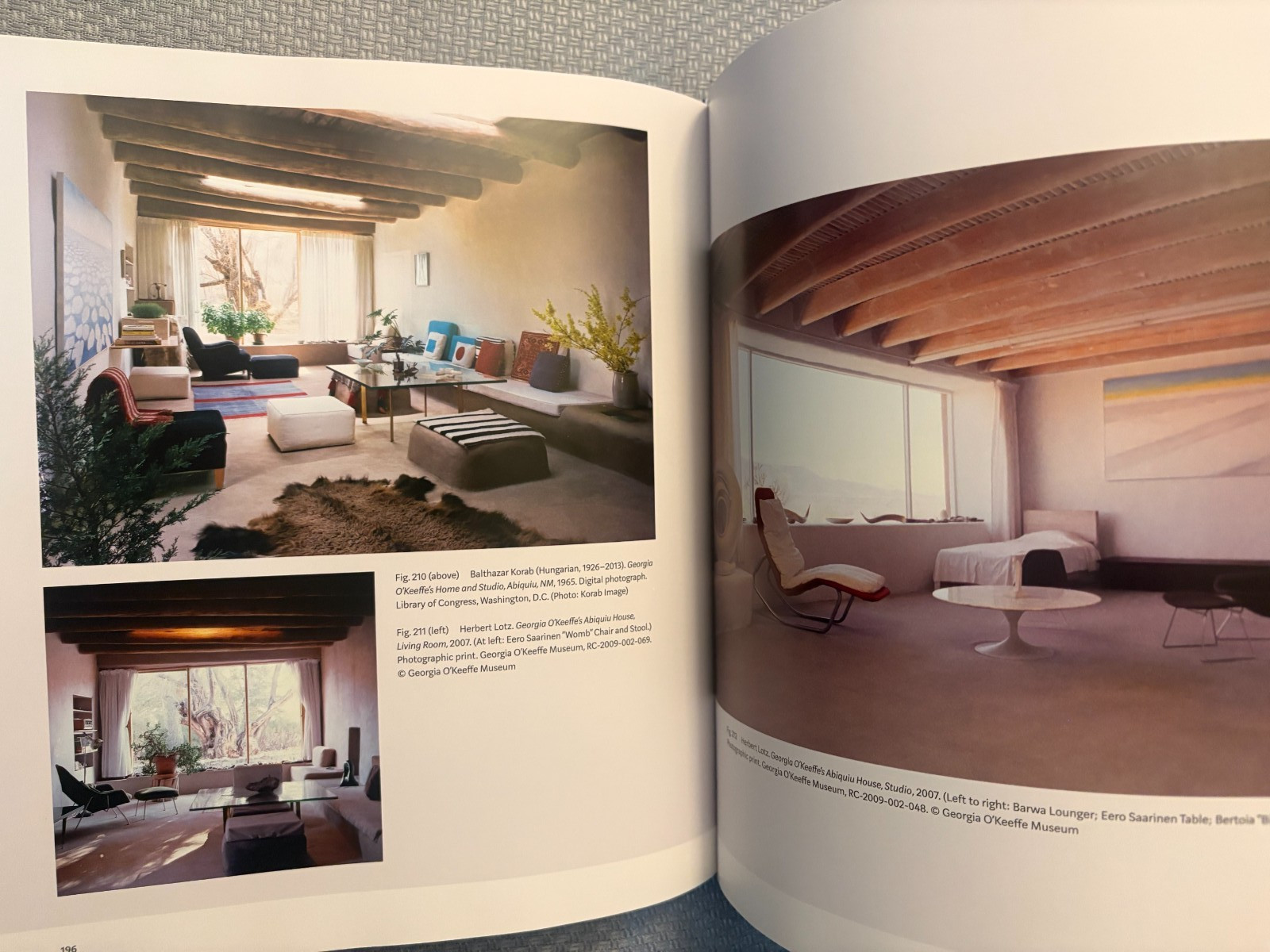 Georgia O’Keeffe: Living Modern by Wanda Corn HC/DJ 2017