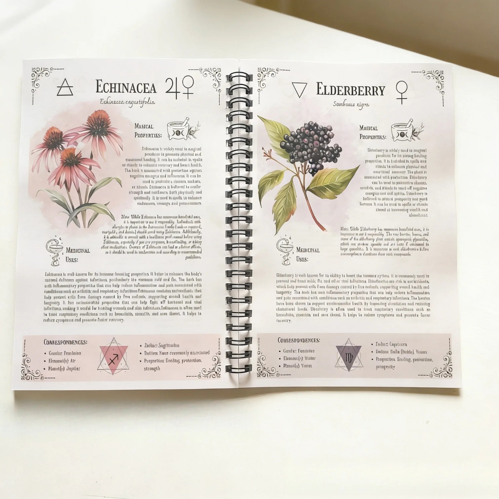 The Natural Healing Handbook, Spiral-Bound Guide for Herbal Remedies and Natural