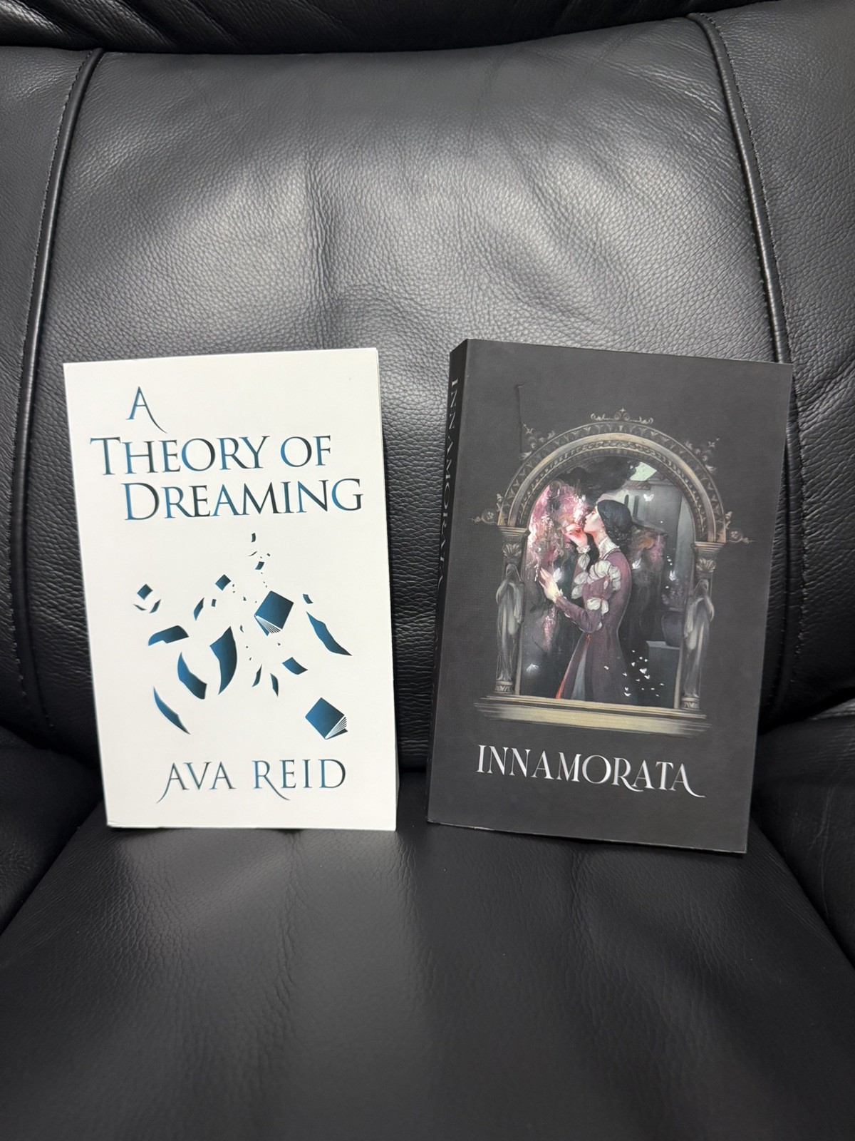 AVA REID ARC BUNDLE UNCORRECTED PROOF INNAMORATA A THEORY OF DREAMING