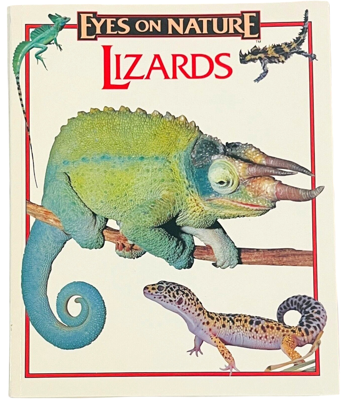 Eyes On Nature – Lizards – Paperback Book by Robert Matero – PB Book 1977