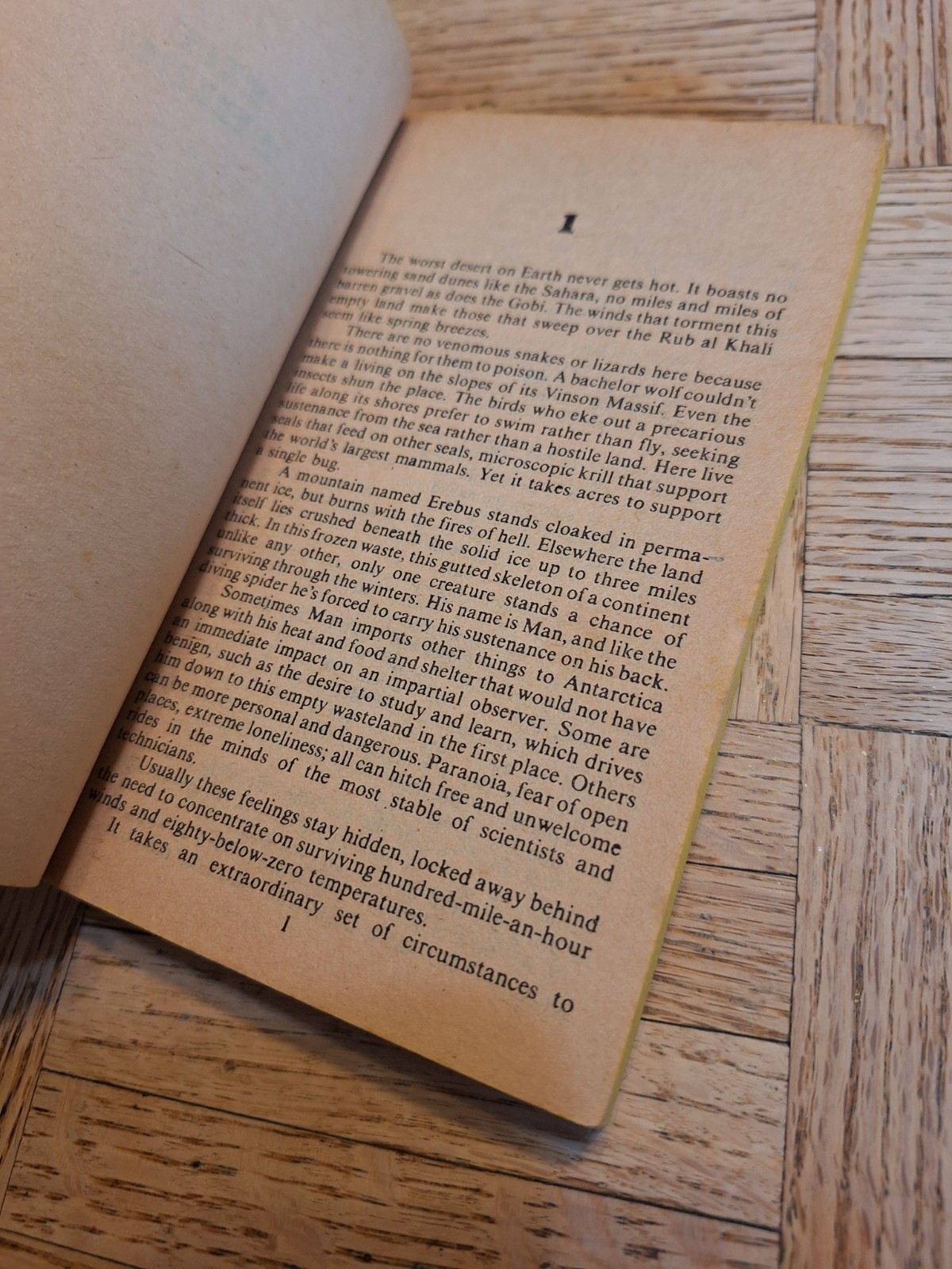 The Thing: A Novel by Alan Dean Foster 1982 Bantam