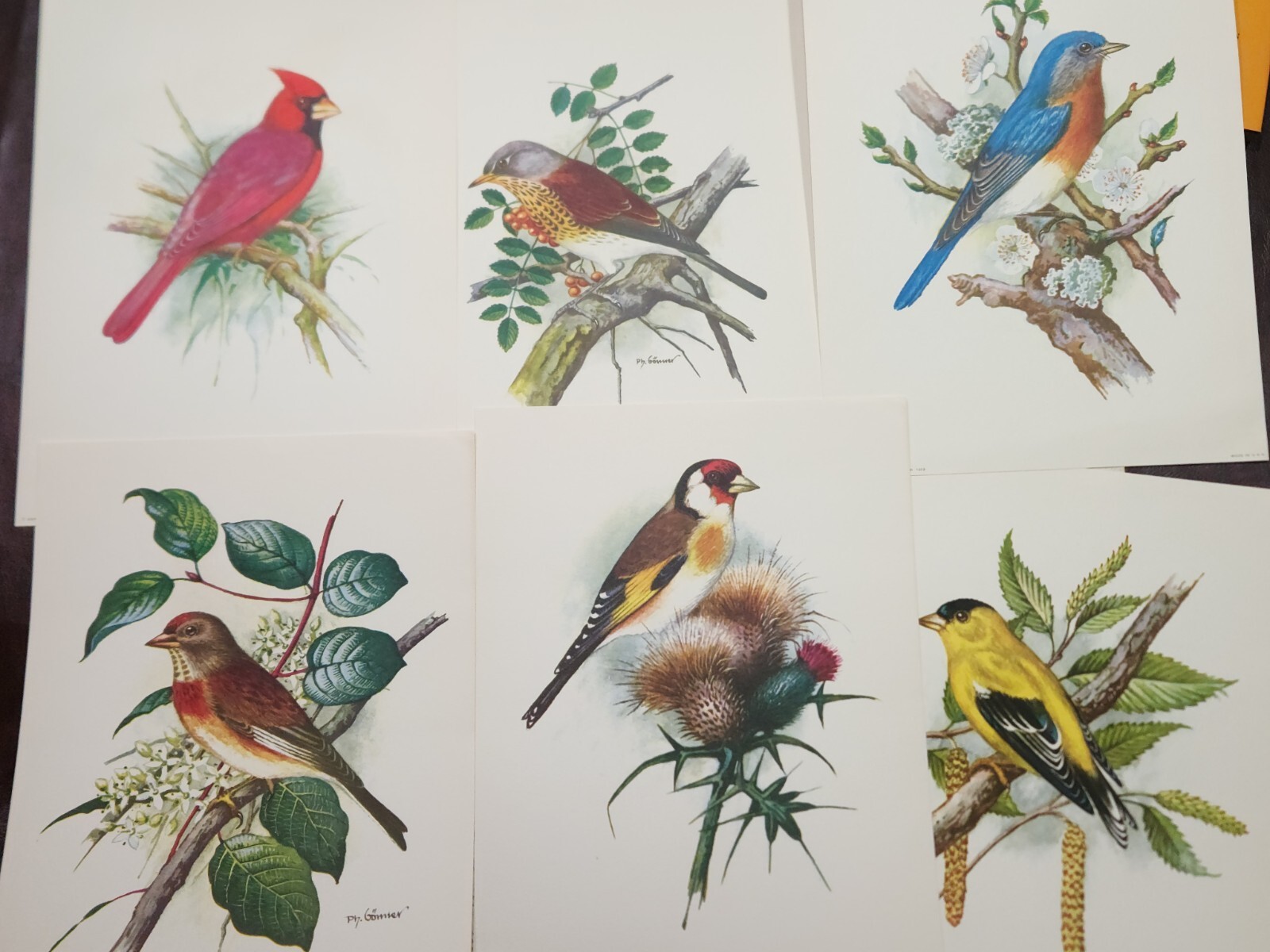 A Portfolio of American Birds, P.H. Gomier, Frank F. Fleer Corp 1968 ~ RARE!