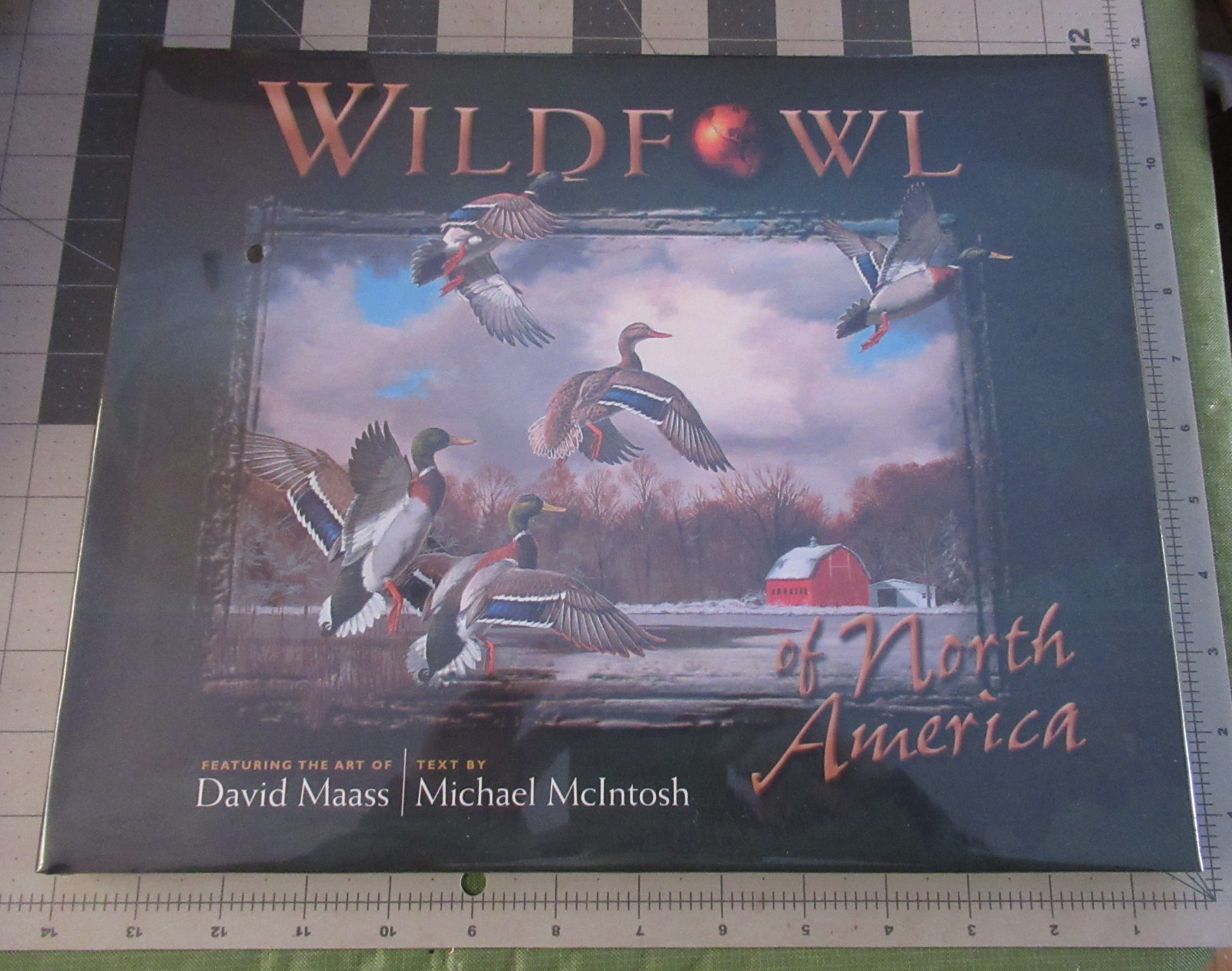 Wildfowl of North America Hardcover Book David Maass Michael McIntosh