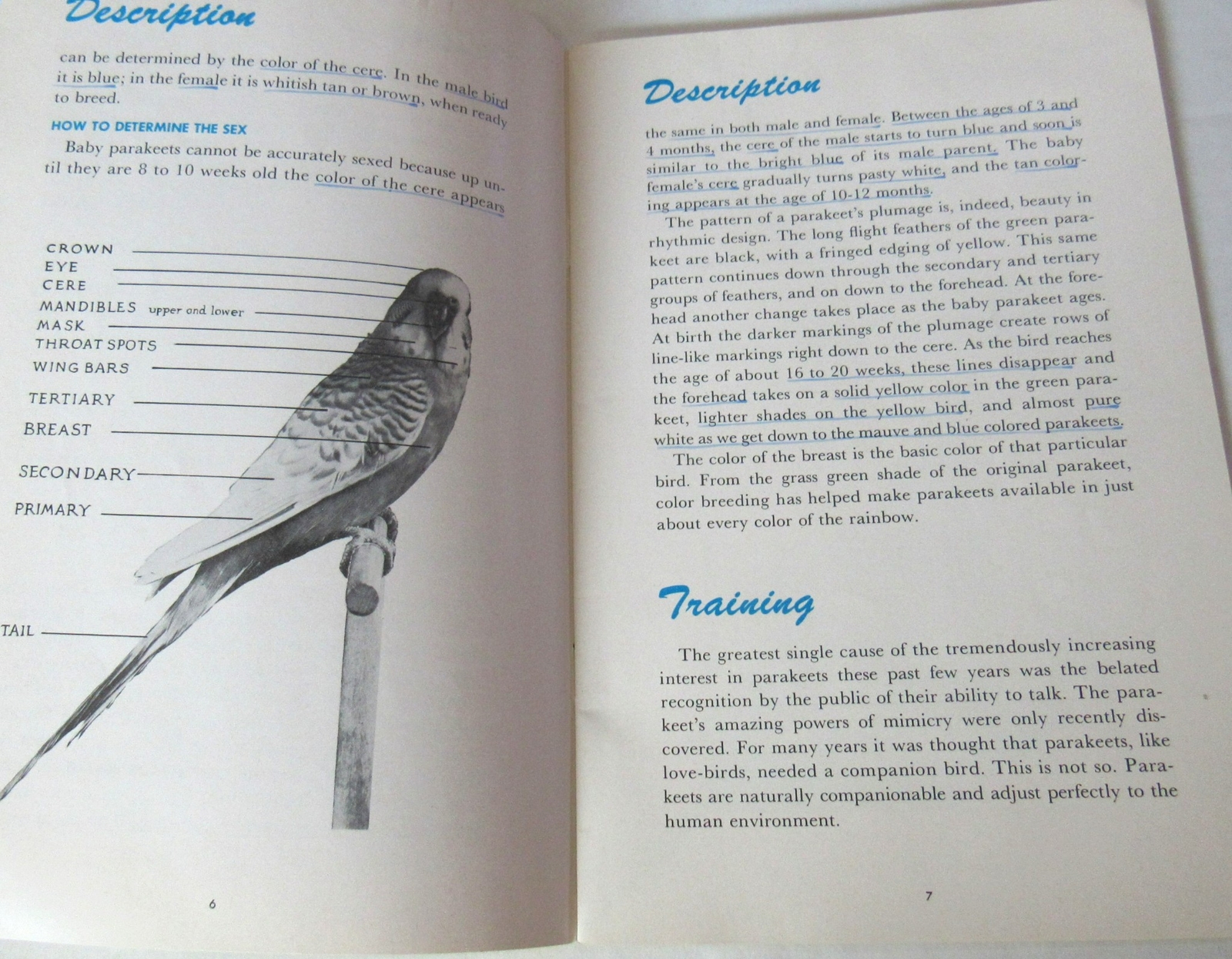 1953 EVERYTHING ABOUT PARAKEETS BUDGIES HARTZ MANUAL HEALTH TRAINING TALKING USA