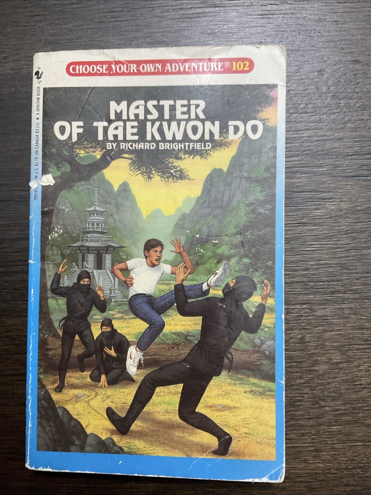 Vintage Choose Your Own Adventure Books Lot of 3 Bantam Books (cover book Damage