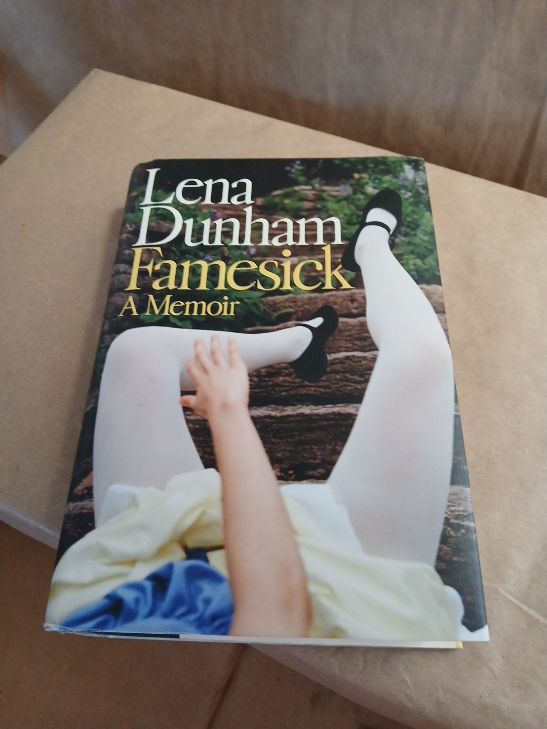 Lena Dunham: Famesick A Memoir USED HARDCOVER SEE DESCRIPTION