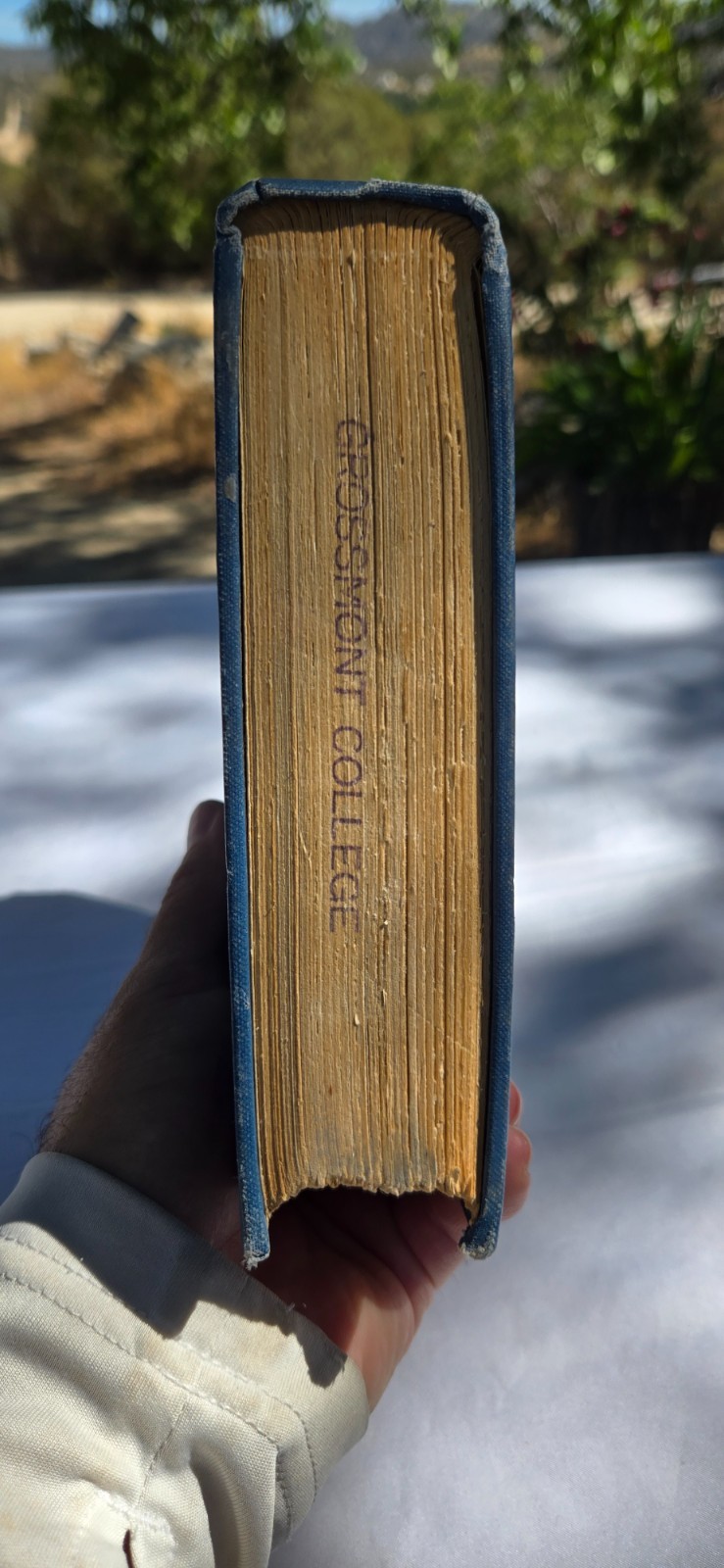 Henry Ward Beecher, An American Portrait Paxton Hibben George Doran 1927 HC ExLb