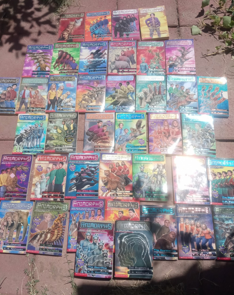 LOT of 40 ANIMORPHS K.A. Applegate Vintage Scholastic Books