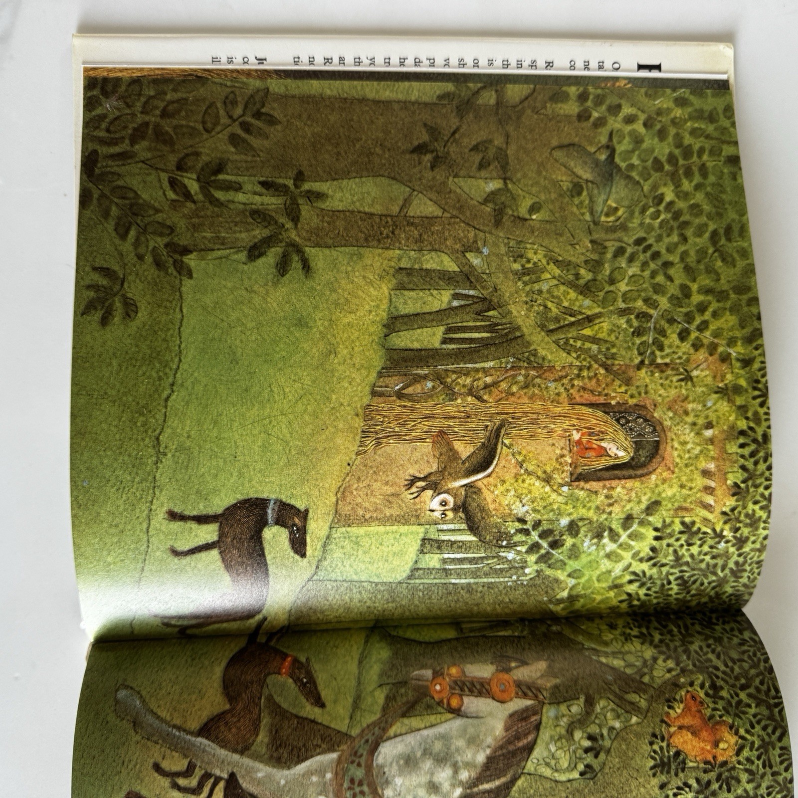 RAPUNZEL by THE BROTHERS GRIMM Illustrated by Jutta Ash 1982 1st US Ed Hardcover