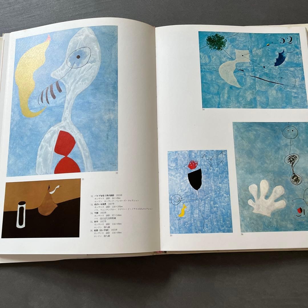 Joan Miró Art Book by Rosa Maria Ale 1990 Art Publishing 5.0×8.6in 132Pages