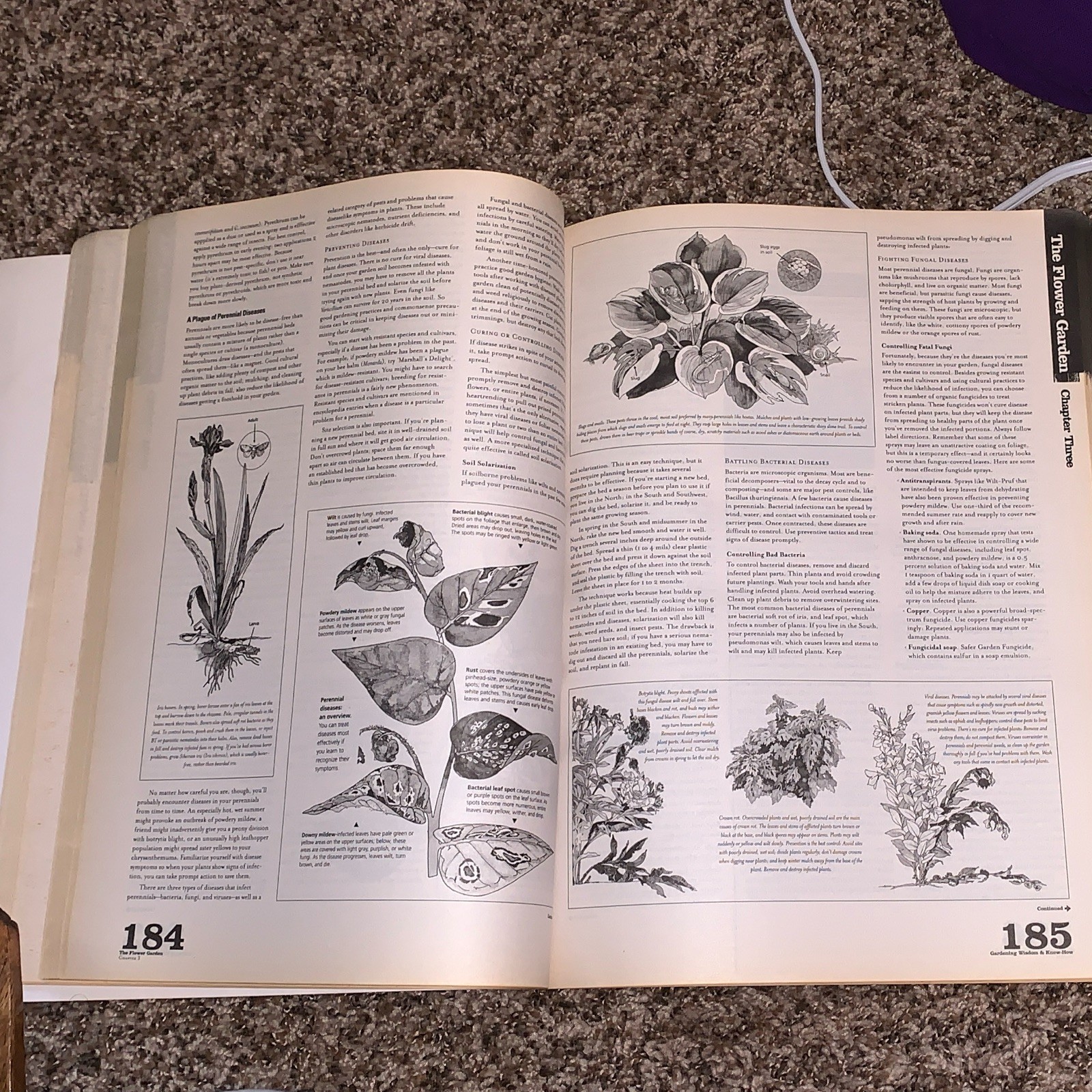 Black Dog & Leventhal Garden Wisdom & Know-How Illustrated 2010
