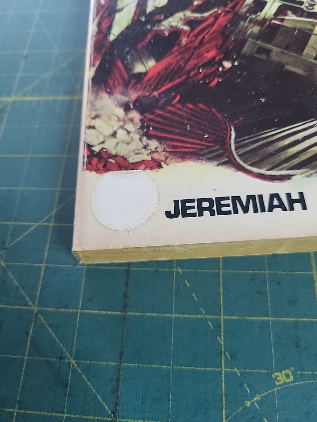 Train Wreck by Jeremiah Jack Manor Books Inc.