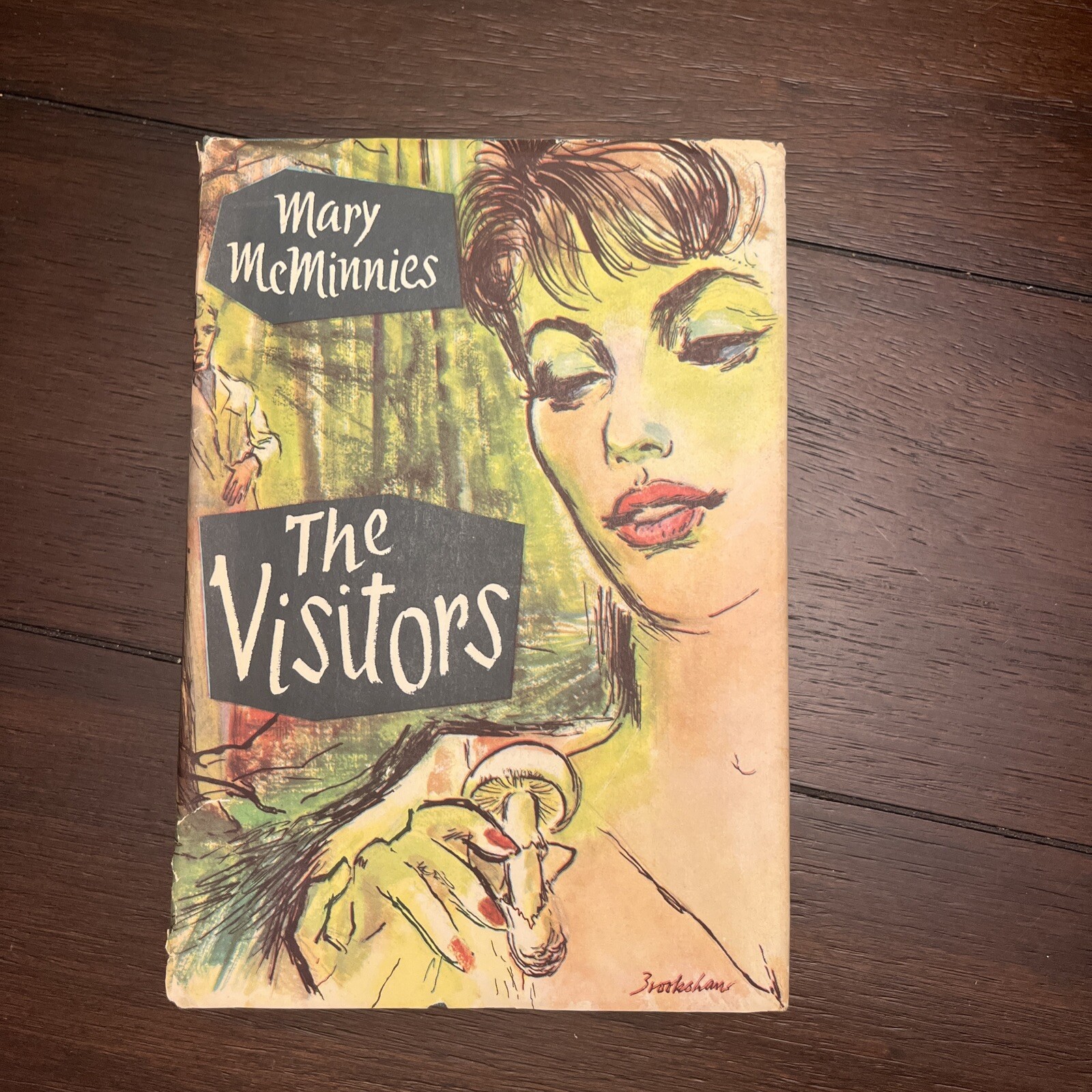 The Visitors By Mary McMinnies, 1958, Published By Harcourt, Brace And Company