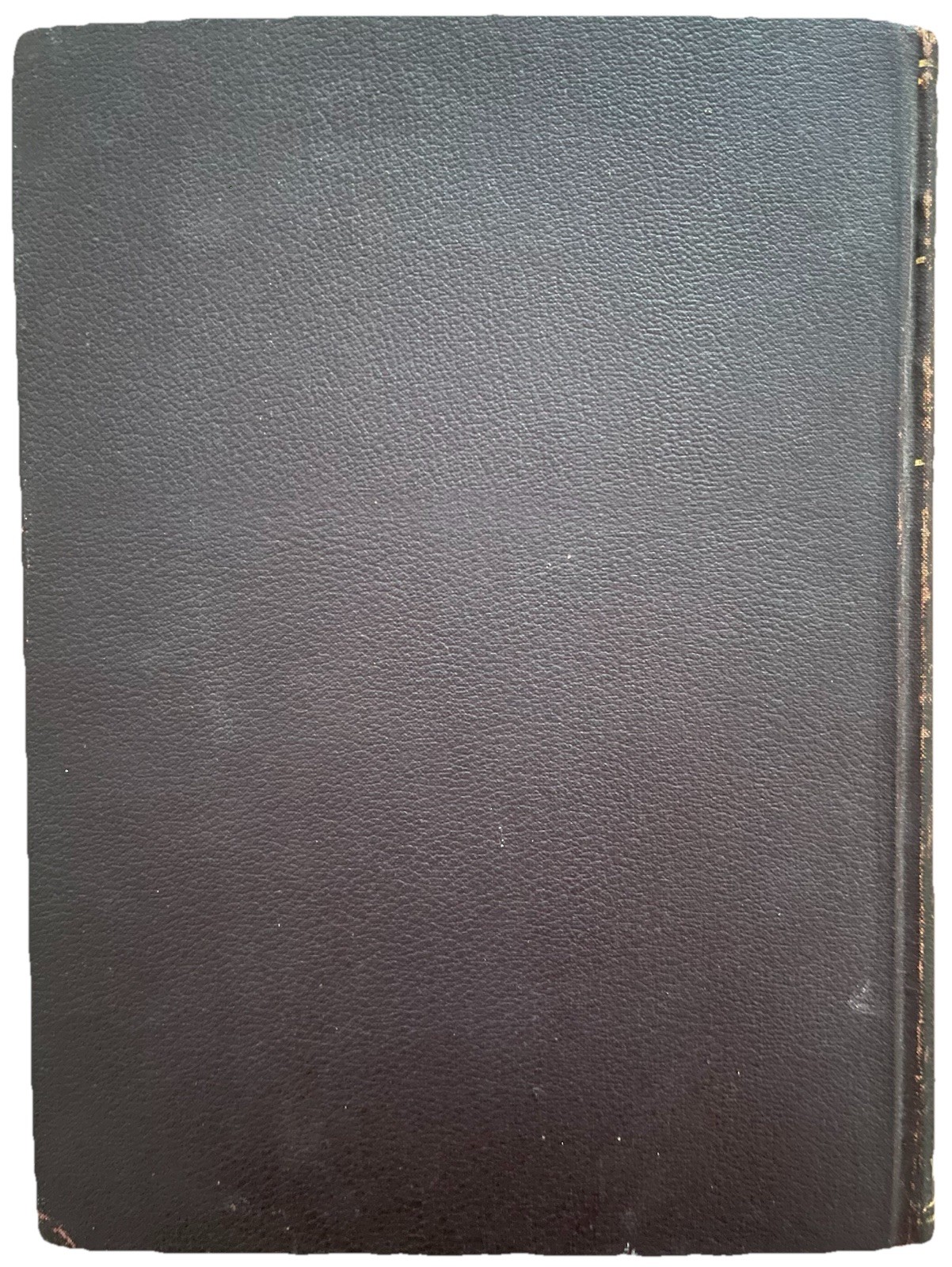1919 UNIVERSITY OF CHICAGO COLLEGE YEARBOOK, THE CAP AND GOWN, CHICAGO, IL