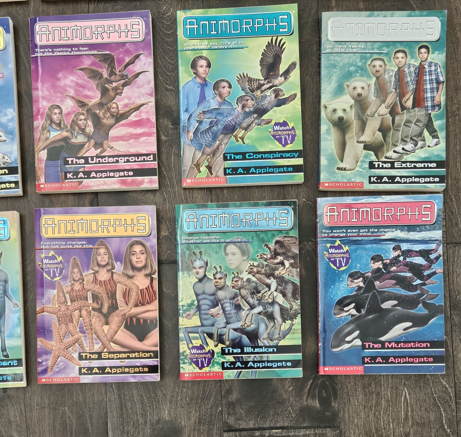 Lot Of 25 Animorphs Books- 1996-2001 See Photos For Titles