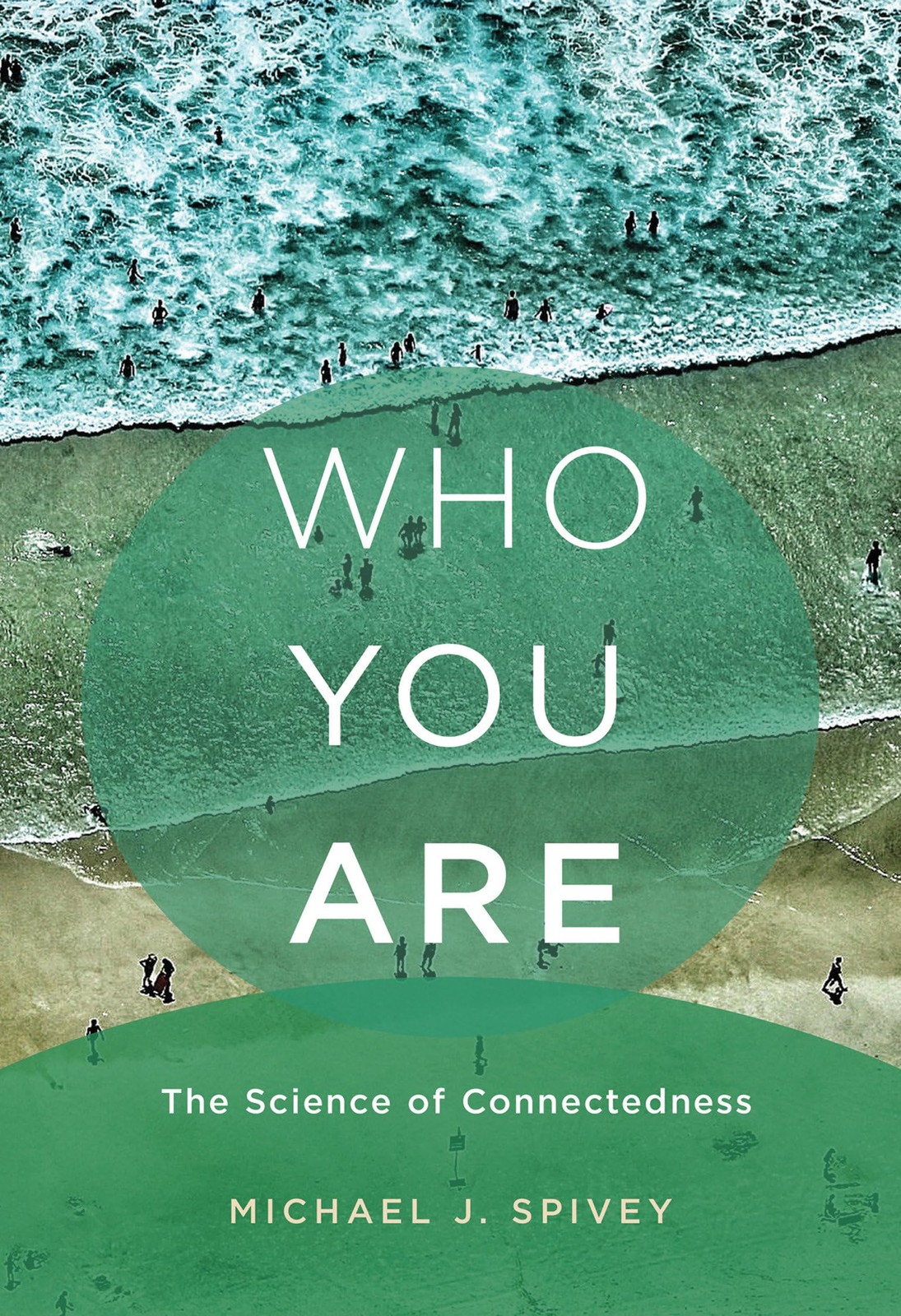 Who You Are: The Science of Connectedness (Mit Press), Spivey, Michael J., Excel