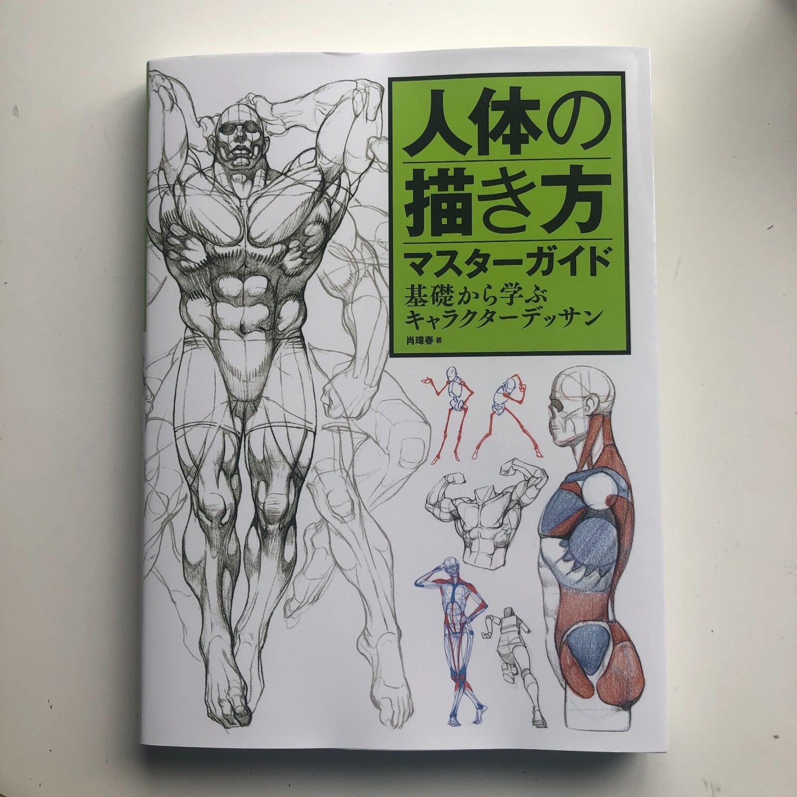 Master Guide to Drawing the Human Body: Character Drawing from the Basics Book