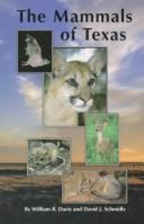 The Mammals of Texas Paperback William B., Schmidly, David J. Dav