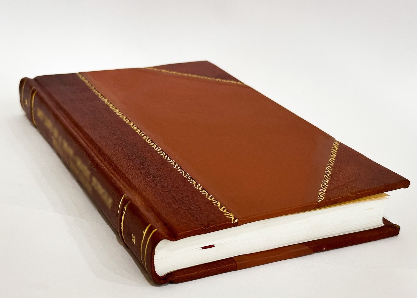 Archaeological Writings of the Sanhedrin and Talmuds of the Jew [Leather Bound]