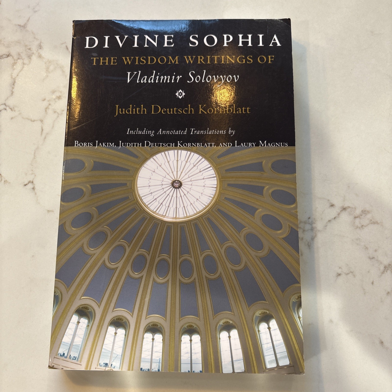 Divine Sophia: The Wisdom Writings of Vladimir Solovyov SC 2009 EUC