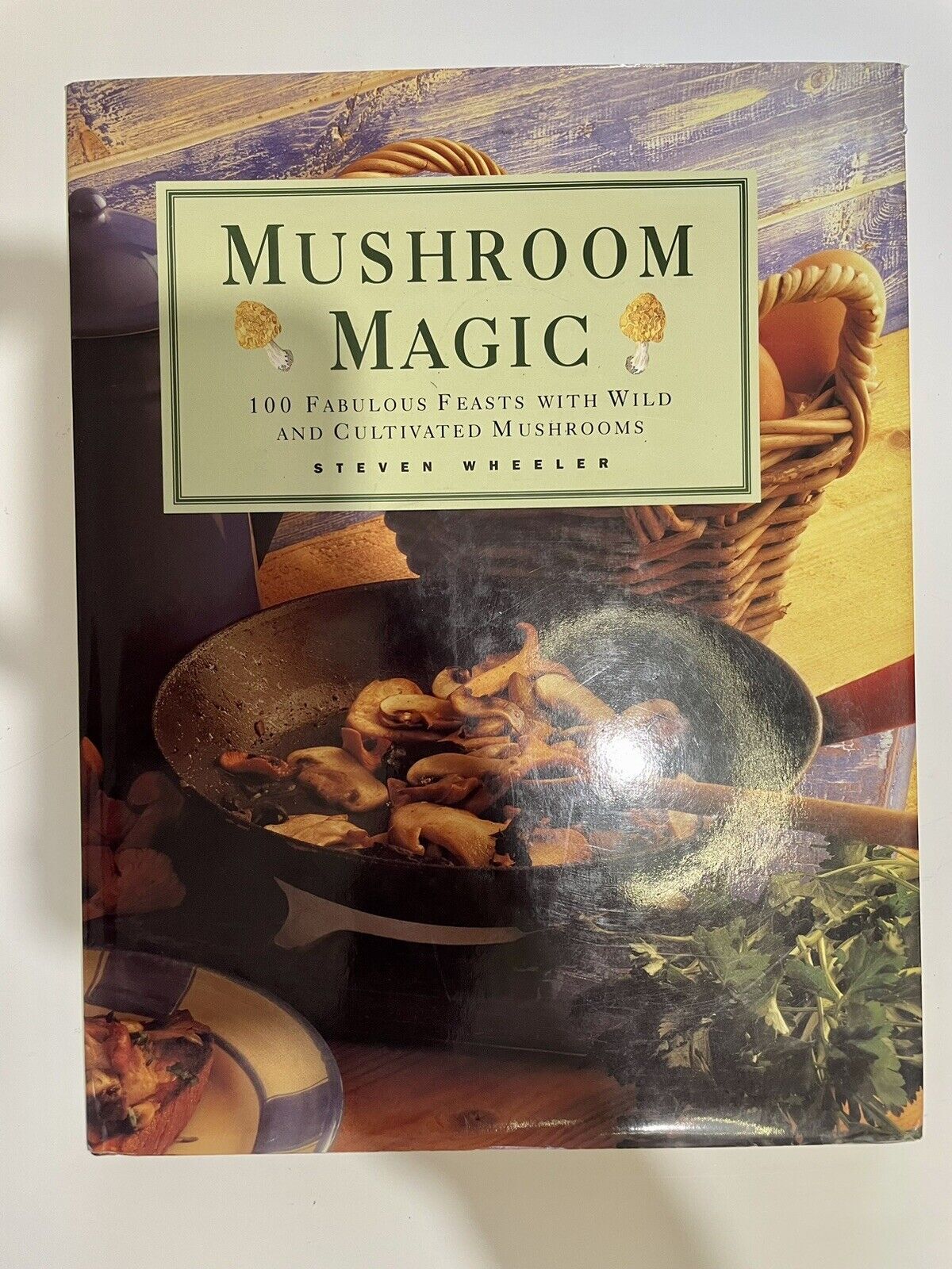 Mushroom Magic by Steven Wheeler Sweet Water Press 1998