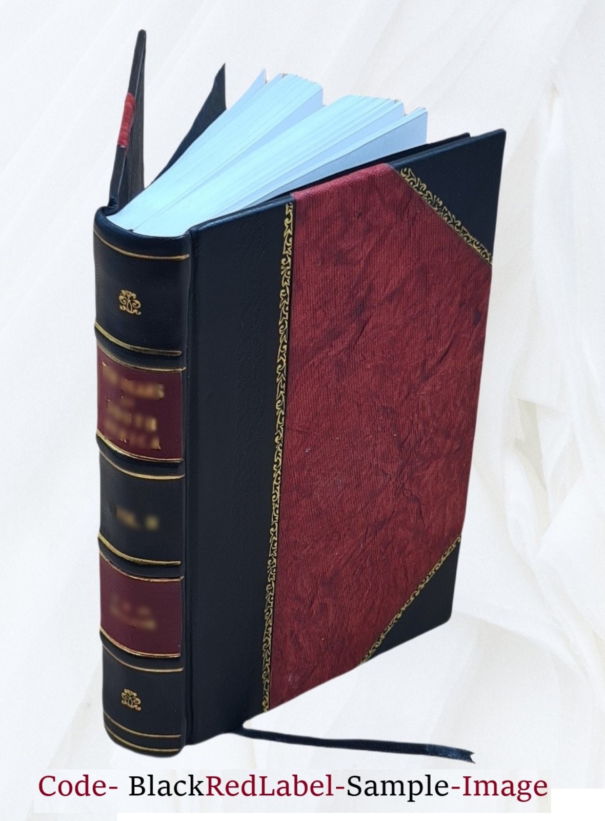 Samplers And Stitches; A Handbook Of The Embroiderer’S Art 1921 [Leather Bound]