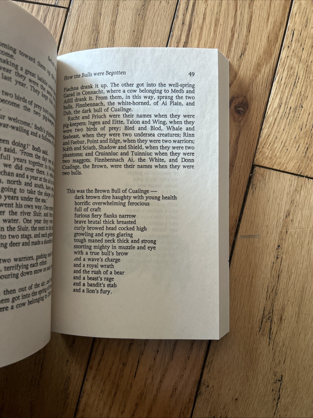 Táin by Thomas Kinsella (2002, Uk-Trade Paper) EUC