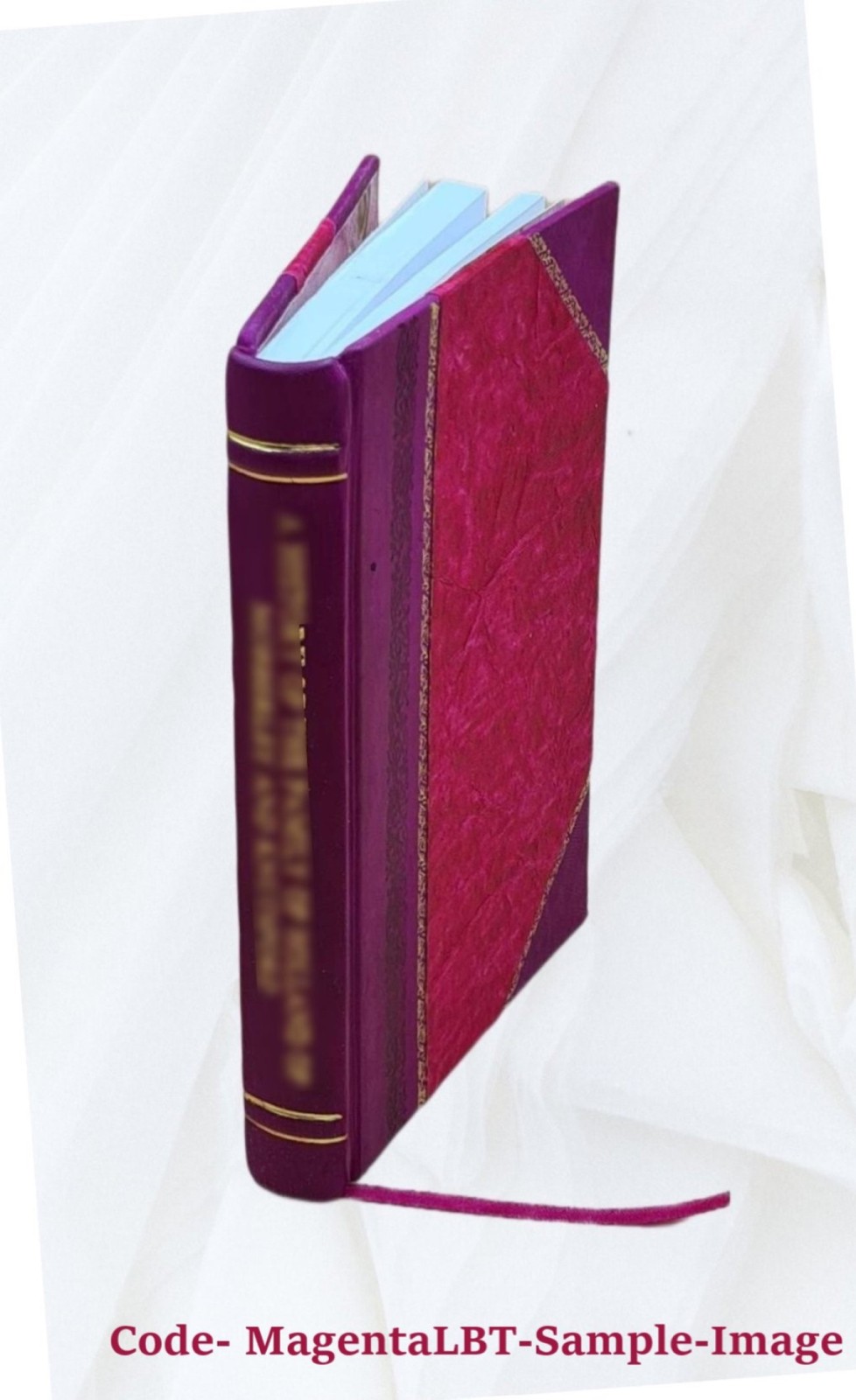 The Teaching of the Apostles 1887 [Leather Bound]