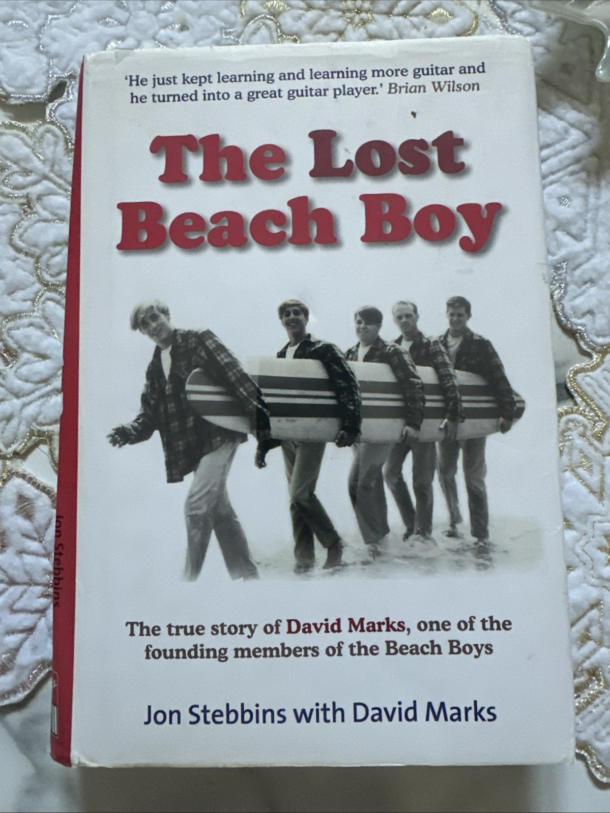 Lost Beach Boy : The True Story of Beach Boy by Jon Stebbins & David Marks