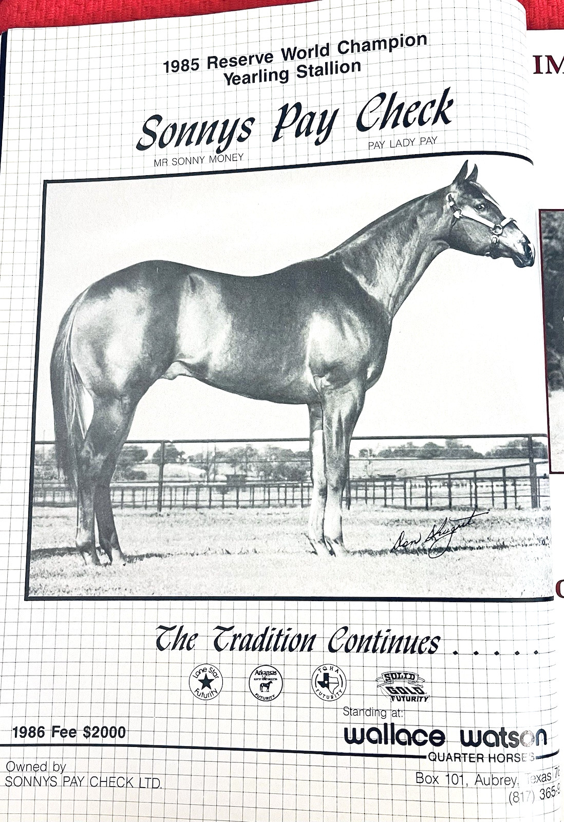 SALE ENDS 6/15! 1986 QUARTER HORSE JOURNAL Book – DYNAMIC DELUXE, ZAN PARR BAR