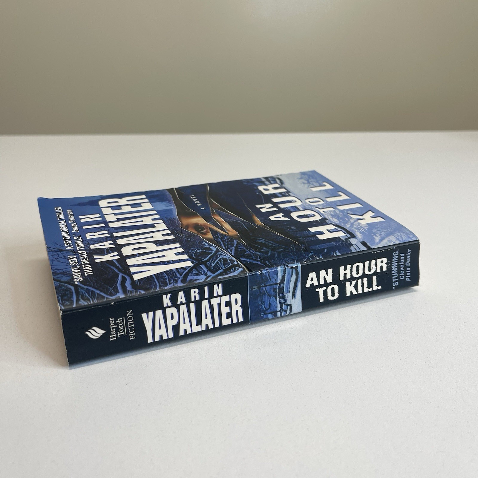 An Hour to Kill: A Novel By Karin Tapalater Harper Torch 2003 Vintage
