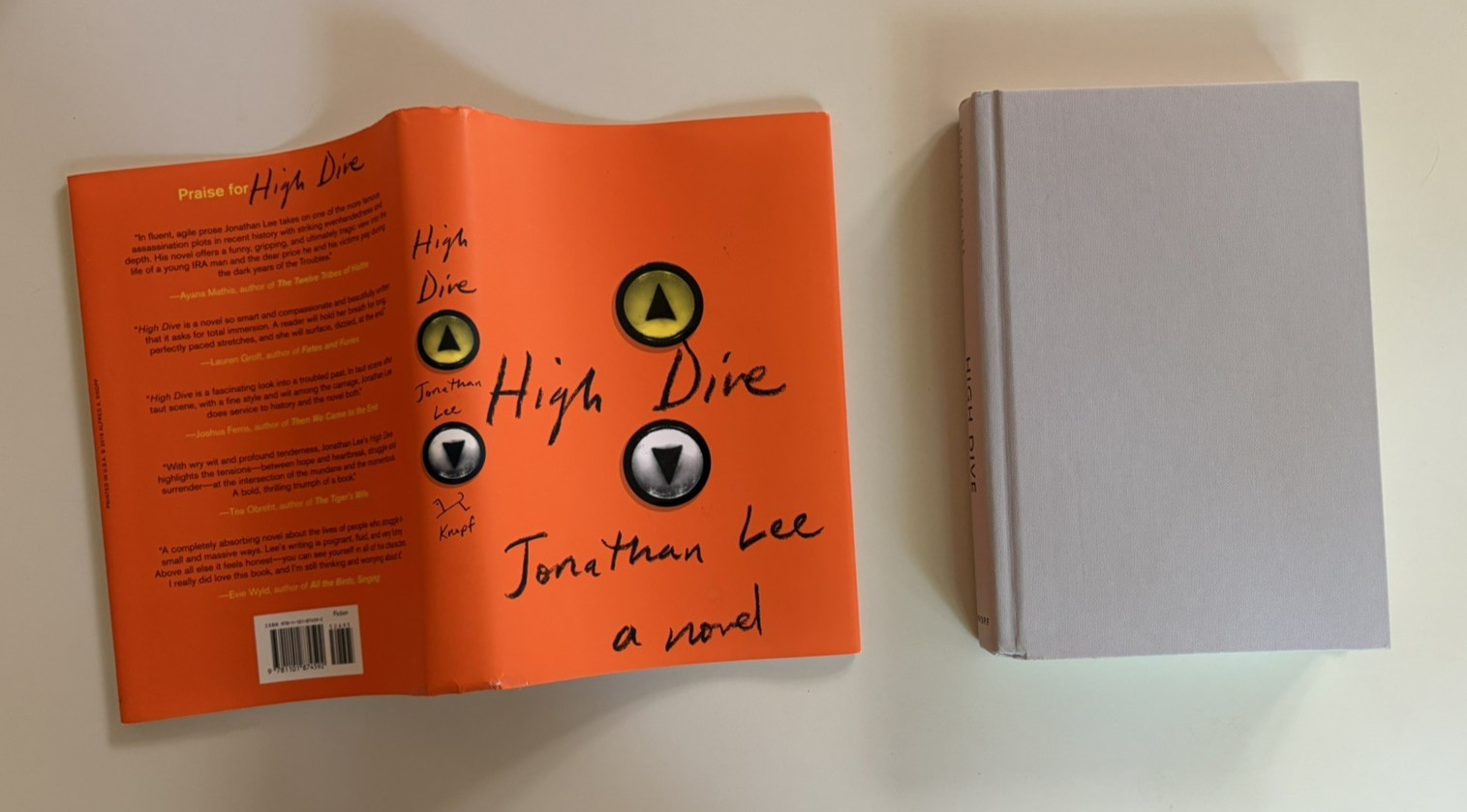 High Dive Jonathan Lee HC DJ 1st Ed / 2nd Print Knopf 2016 VG+ Literary Fiction