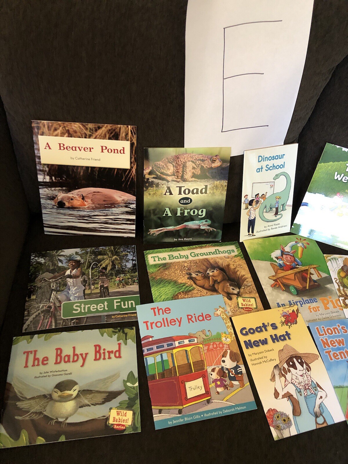 First Grade Reading Books — HOME SCHOOL — Grade 1 Like New 10 Different $15